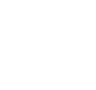 Polyzy logo